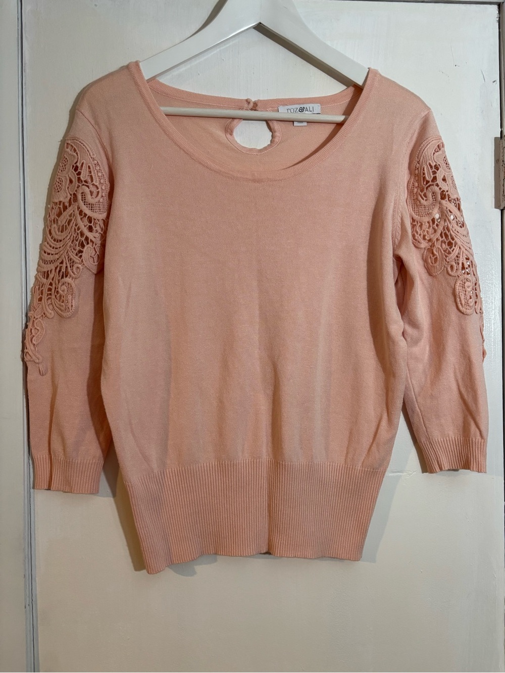 Roz & Ali Blush Lace-Sleeve Scoop Neck Sweater